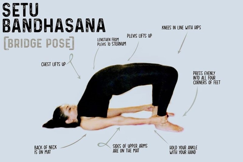 ayurveda yoga retreat